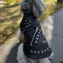 Cradle Of Goth Badass Pet Jacket (Suitable For Dogs And Cats) MISCELLANEOUS 12 Cradle Of Goth Badass Pet Jacket (Suitable For Dogs And Cats) MISCELLANEOUS