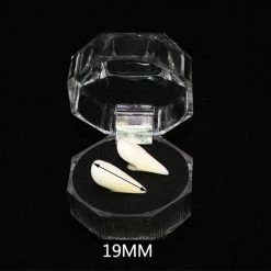 Cradle Of Goth MISCELLANEOUS Vampire Teeth 19 Cradle Of Goth MISCELLANEOUS Vampire Teeth