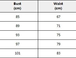 Cradle Of Goth Vintage Goth Dress DRESSES