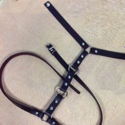 Cradle Of Goth Cage Choker CHOKERS 5 Cradle Of Goth Cage Choker CHOKERS